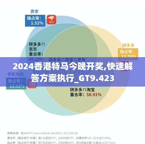 2024香港特马今晚开奖,快速解答方案执行_GT9.423