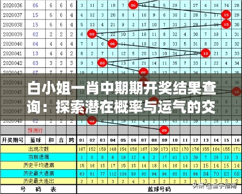 白小姐一肖中期期开奖结果查询：探索潜在概率与运气的交织