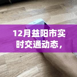 12月益阳市实时交通动态观察与分析