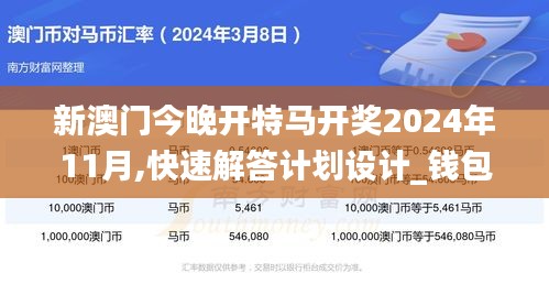 新澳门今晚开特马开奖2024年11月,快速解答计划设计_钱包版9.436