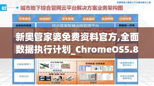 新奥管家婆免费资料官方,全面数据执行计划_ChromeOS5.800