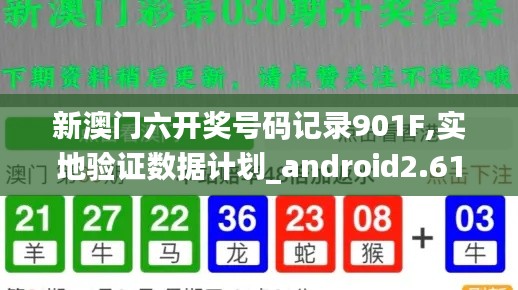 新澳门六开奖号码记录901F,实地验证数据计划_android2.617