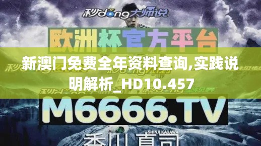 新澳门免费全年资料查询,实践说明解析_HD10.457