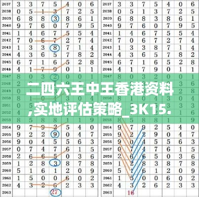 二四六王中王香港资料,实地评估策略_3K15.205