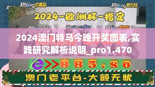 2024澳门特马今晚开奖图表,实践研究解析说明_pro1.470