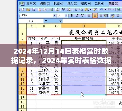 2024年实时表格数据记录操作指南，从入门到进阶的详细指南（含实时数据记录表）