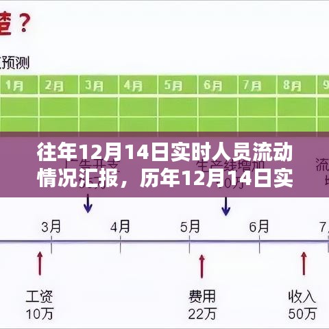 历年12月14日实时人员流动深度分析与汇报