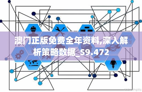 澳门正版免费全年资料,深入解析策略数据_S9.472