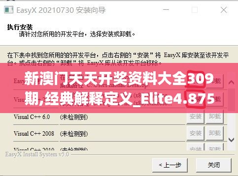 新澳门天天开奖资料大全309期,经典解释定义_Elite4.875