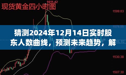 未来趋势预测与股东人数曲线解析，2024年12月14日实时股东人数曲线产品评测报告