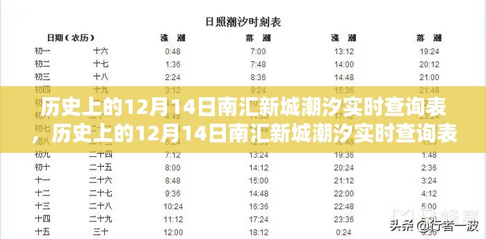 历史上的12月14日南汇新城潮汐实时查询表，详细步骤指南