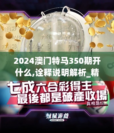 2024澳门特马350期开什么,诠释说明解析_精英版3.918