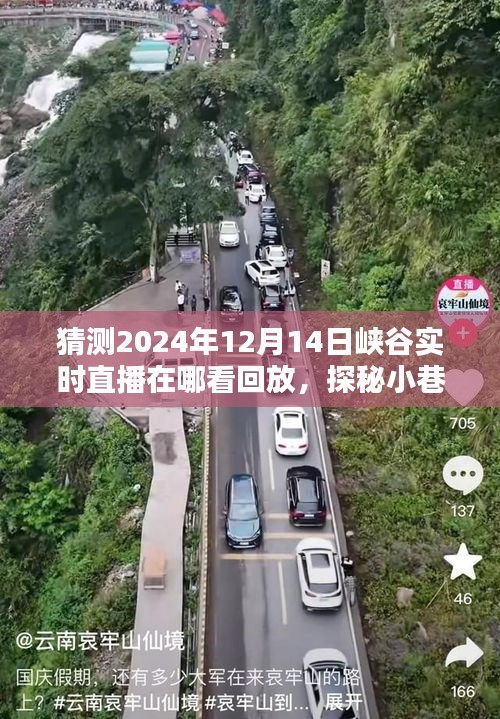 探秘小巷深处风味与揭秘峡谷直播回放观看指南，重温精彩瞬间（2024年峡谷直播回放观看指南）