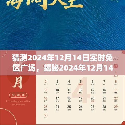 揭秘未来景象，探索与猜想2024年兔区广场的实时景象展望