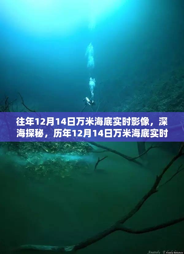 历年12月14日万米海底探秘回顾，深海实时影像揭秘海底世界