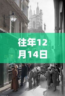 哈尔滨街景变迁下的自信与成长，励志直播之旅回顾