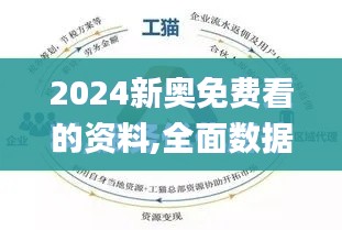 2024新奥免费看的资料,全面数据解析说明_特供版12.172