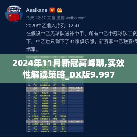 2024年11月新冠高峰期,实效性解读策略_DX版9.997