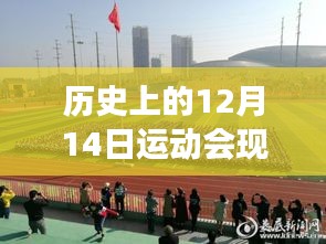 12月14日运动会，现场报道与心灵探索之旅，自然背后的宁静港湾