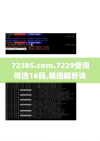 72385.cσm.7229查询精选16码,精细解析说明_Linux4.746