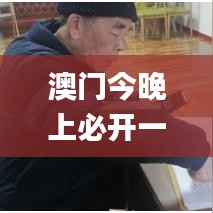 澳门今晚上必开一肖,迅速执行计划设计_DX版7.950