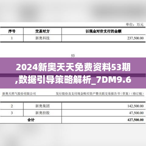 2024新奥天天免费资料53期,数据引导策略解析_7DM9.663