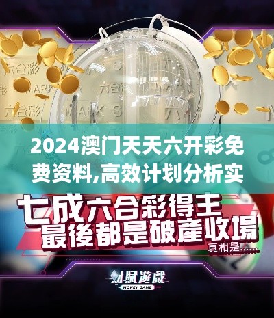 2024澳门天天六开彩免费资料,高效计划分析实施_专属款19.595