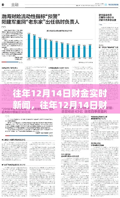 往年12月14日财金实时新闻回顾与洞察，深度解析当日财经动态