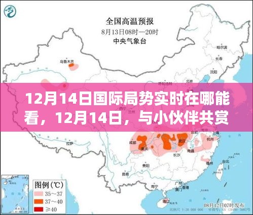 12月14日国际局势实时观看，共度赏析国际风云的温馨之夜