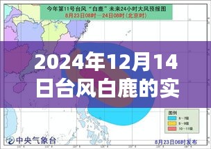 台风白鹿来袭，2024年12月14日天气动态分析与实时路径图