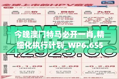 今晚澳门特马必开一肖,精细化执行计划_WP6.655