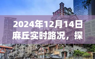 探秘麻丘小巷美食，2024年12月14日麻丘实时路况游记