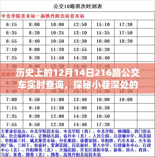 探秘时光巴士，历史上的12月14日216路公交车与小巷深处的奇妙邂逅