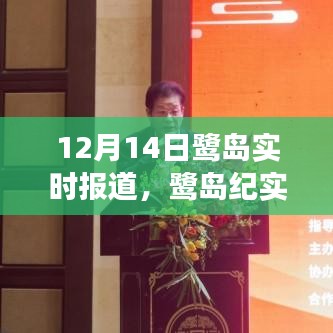 鹭岛纪实，探寻城市脉搏与生态观察的12月14日特写