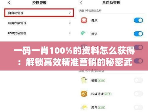 一码一肖100%的资料怎么获得：解锁高效精准营销的秘密武器