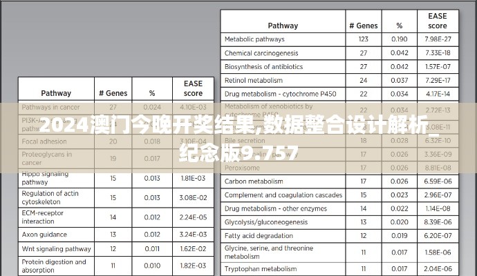 2024澳门今晚开奖结果,数据整合设计解析_纪念版9.757