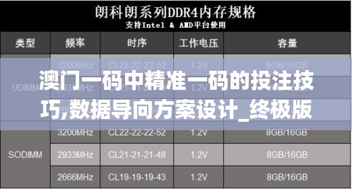 澳门一码中精准一码的投注技巧,数据导向方案设计_终极版2.763