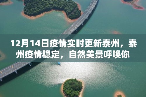 泰州疫情稳定，自然美景呼唤探索，12月14日疫情实时更新