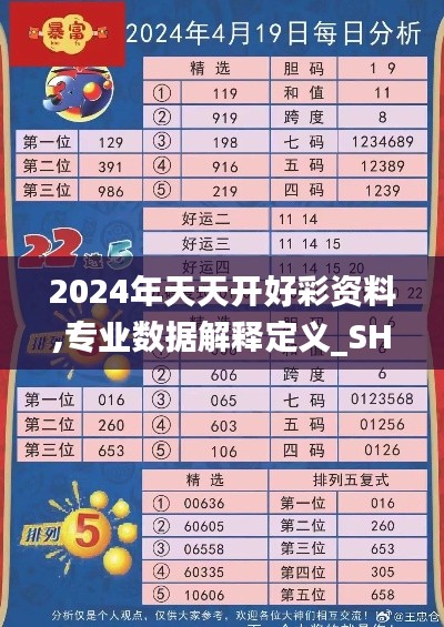 2024年天天开好彩资料,专业数据解释定义_SHD8.971