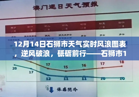 石狮市12月14日风浪实时图表与成长之旅，逆风破浪，砥砺前行