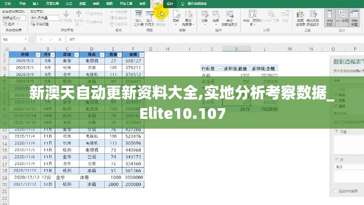 新澳天自动更新资料大全,实地分析考察数据_Elite10.107