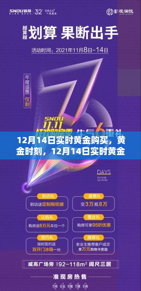 12月14日实时黄金购买全面指南，黄金时刻的投资机会与评测