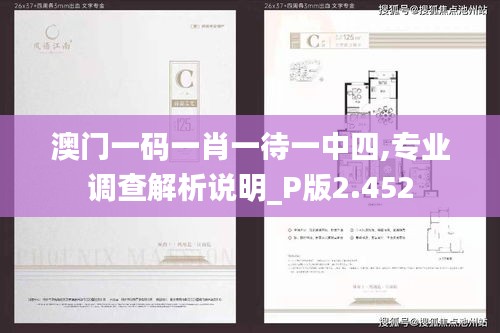 澳门一码一肖一待一中四,专业调查解析说明_P版2.452