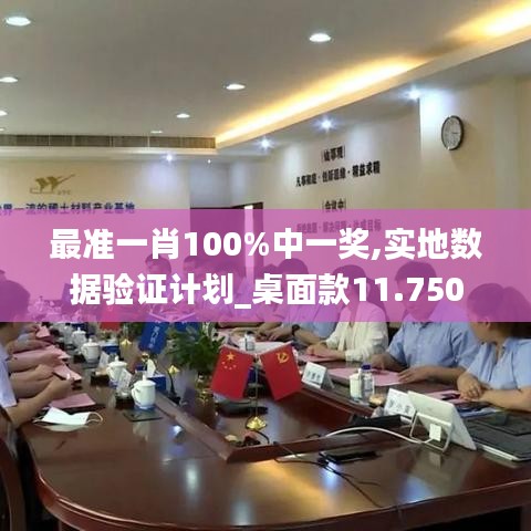 最准一肖100%中一奖,实地数据验证计划_桌面款11.750