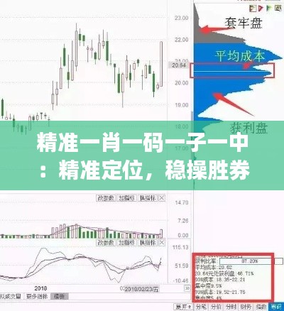 精准一肖一码一子一中：精准定位，稳操胜券的秘诀