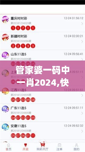 管家婆一码中一肖2024,快速响应计划解析_XT3.249