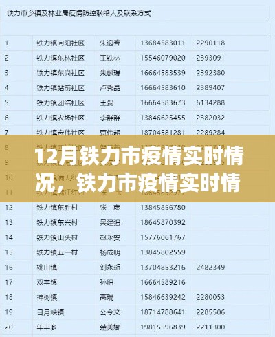 铁力市疫情实时报告，聚焦防控进展与公众应对指南，12月最新情况