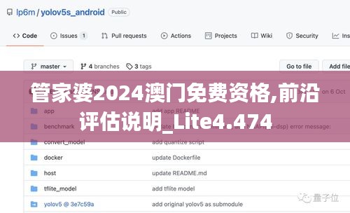 管家婆2024澳门免费资格,前沿评估说明_Lite4.474