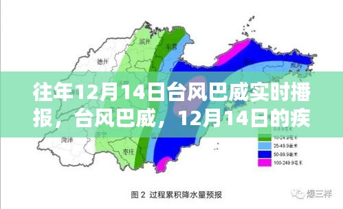 台风巴威来袭，疾风骤雨与深远影响的实时播报（12月14日）