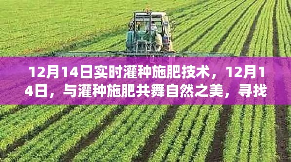 12月14日实时灌种施肥技术，与自然共舞，心灵宁静之旅的开始